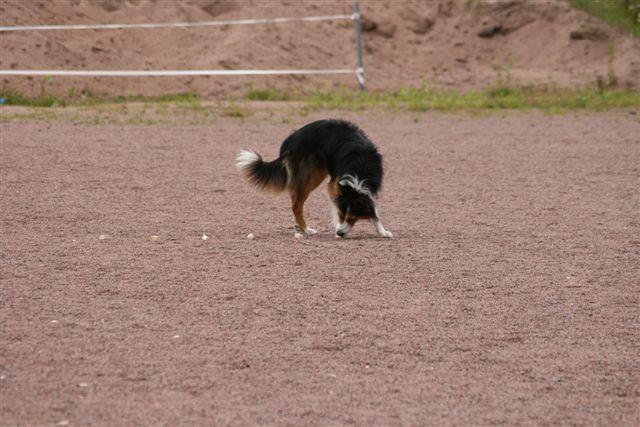 TOKO kerhomestaruus -08 (6).jpg